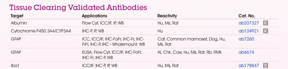 【訂購資訊 - Tissue Clearing Validated Antibodies】Anti-Albumin antibody (ab207327), Anti-Cytochrome P450 3A4/CYP3A4 antibody  (ab124921), Anti-GFAP antibody (ab7260), Anti-GFAP antibody (ab4674), Anti-Iba1 antibody (ab178847)