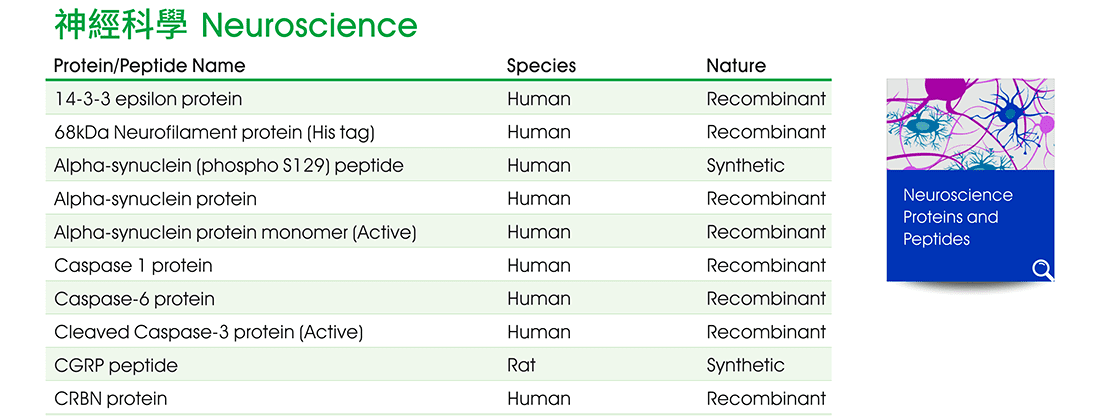 神經科學 (Neuroscience) 相關研究蛋白質與胜肽熱銷商品