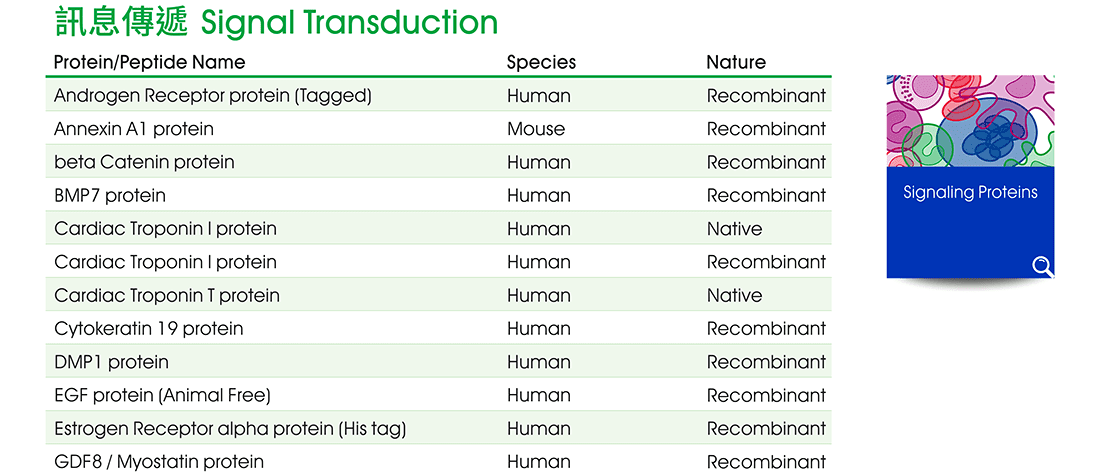 訊息傳遞 (Signal Transduction) 相關研究蛋白質與胜肽熱銷商品