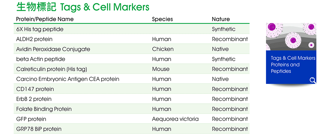 生物標記 (Tags & Cell Markers) 相關研究蛋白質與胜肽熱銷商品