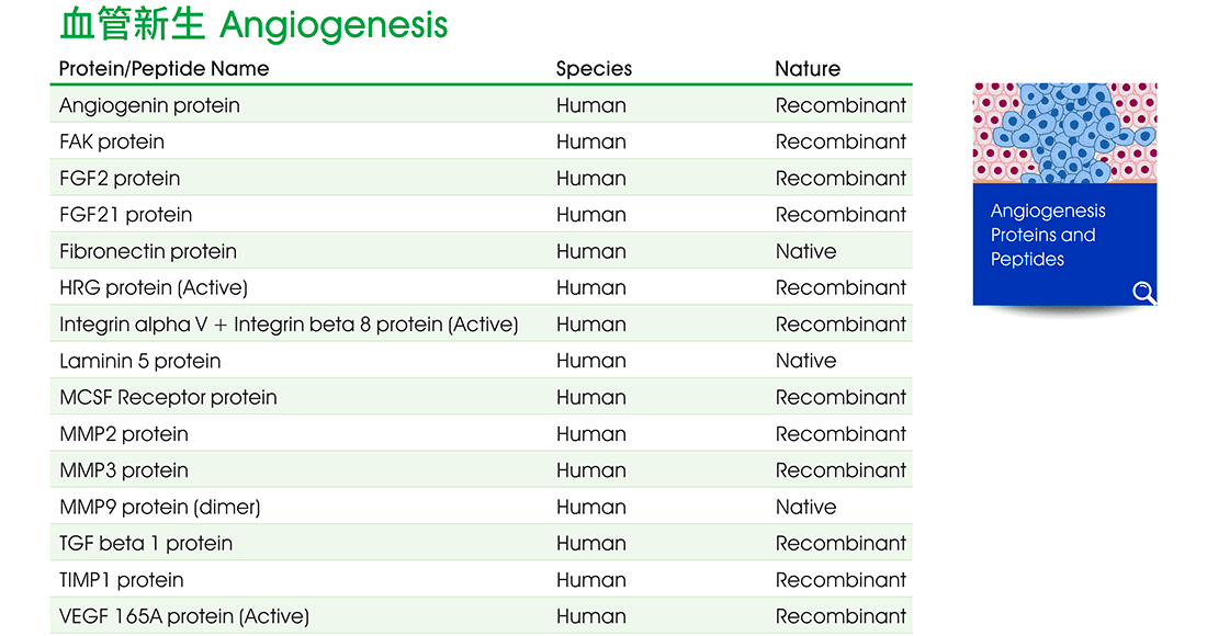 血管新生 (Angiogenesis) 相關研究蛋白質與胜肽熱銷商品