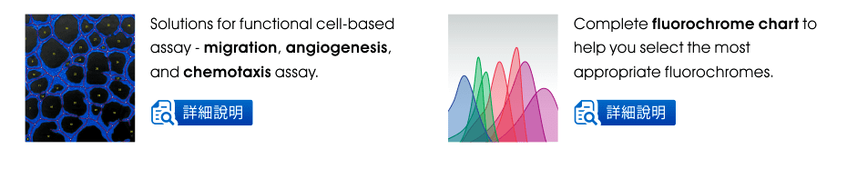 Solutions for functional cell-based assay - migration, angiogenesis, and chemotaxis assay. | Complete fluorochrome chart to help you select the most appropriate fluorochromes.