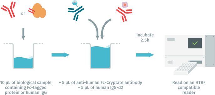 Human Fc Kit Assay Protocol