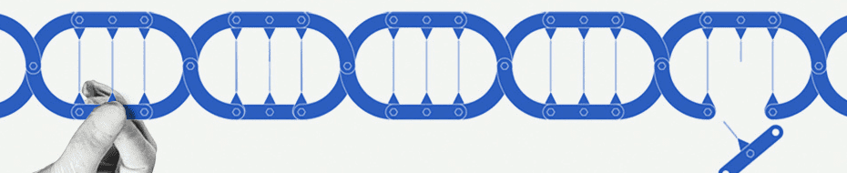 基因剔除細胞株 (Knockout cell lines) | Abcam