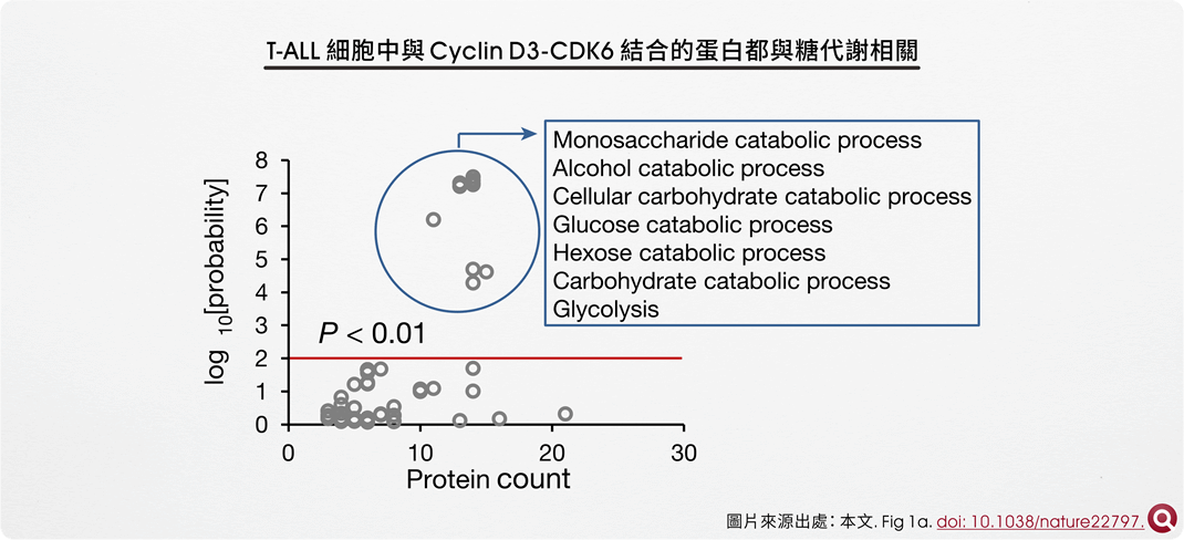 T-ALL 細胞中與 Cyclin D3-CDK6 結合的蛋白都與糖代謝相關