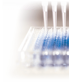ELISA kits for therapeutic and biosimilar antibodies