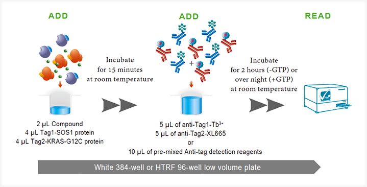 Protocol of the HTRF KRAS-G12C/SOS1 assay