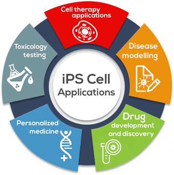 iPSC 應用領域。IMAGE © BioInformant.