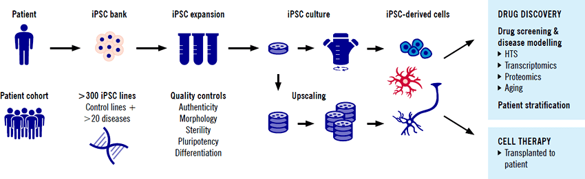 以 iPSC 為基礎的藥物研發平台。IMAGE © Evotec.