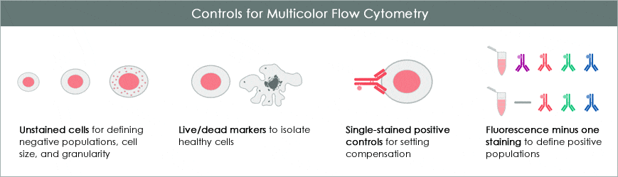 Recommended controls for flow cytometry
