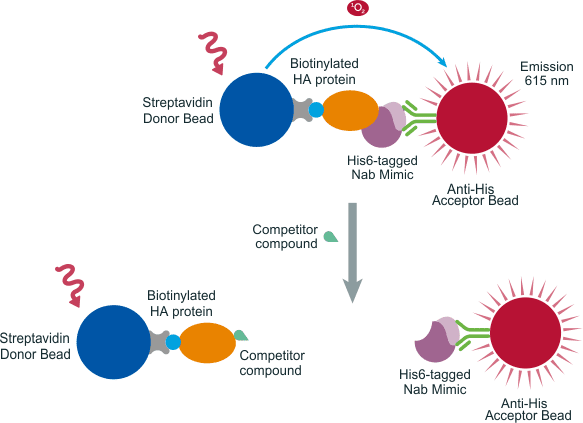 AlphaLISA competition assay