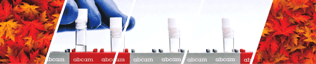 Abcam 秋季抗體特惠 | Abcam