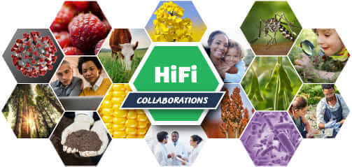 PacBio 研究資訊計畫 — 2020 HiFi for All – Collaborations SMRT Grant Program