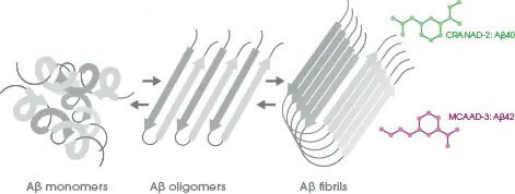 Abcam NIRF probes for real-time imaging of amyloid beta