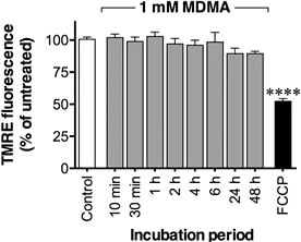 Mitochondrial membrane potential was measured using TMRE-Mitochondrial Membrane Potential Assay Kit (ab113852)