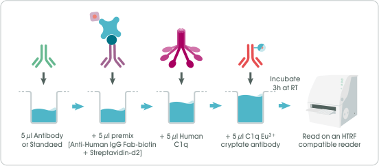 HTRF Human C1q Binding Kit 實驗流程示意圖