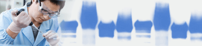 Western Blot 實驗做不出來？讓 Abcam Checklist 協助你一一排除問題