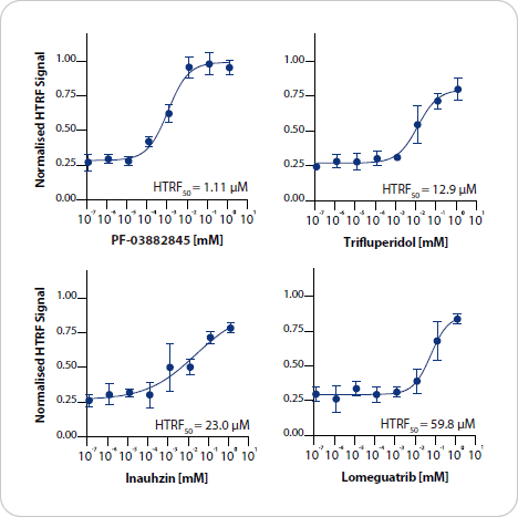 EPIgeneous™ Methyltransferase kit 檢測流程