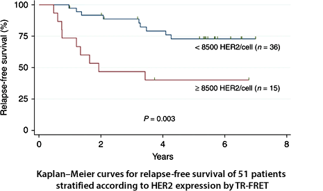 HER2 蛋白質表現量與病患的無復發存活率 (relapse-free survival, RFS) 具有統計意義上的相關性