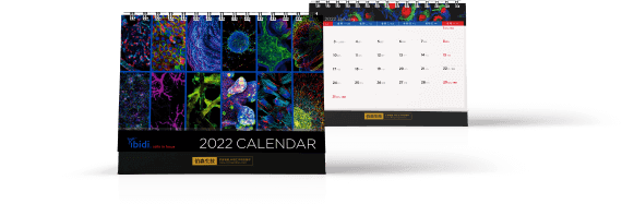 ibidi 2022 年細胞影像主題桌曆