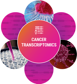 2022 PacBio Cancer Transcriptomics SMRT Grant - PacBio 台灣代理伯森生技