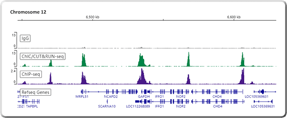 使用 Abcam CUT&RUN 驗證抗體 Recombinant Anti-Histone H3 (tri methyl K4) antibody [EPR20551-225] - ChIP Grade (ab213224) 進行 CUT&RUN-seq 與 ChIP-seq 實驗，結果顯示兩者數據有高度一致性