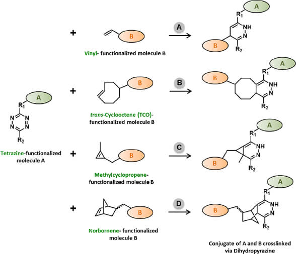 常見點擊化學反應三﹑Tetrazine-Alkene Ligation