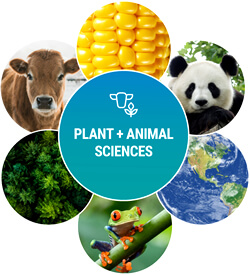 2022 PacBio Plant + Animal Sciences SMRT Grant Program | PacBio 台灣代理伯森生技