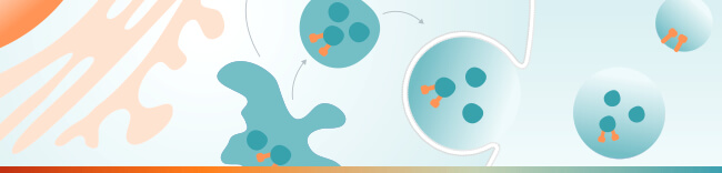 Abcam Exosome 研究工具 - Abcam 台灣代理伯森生技