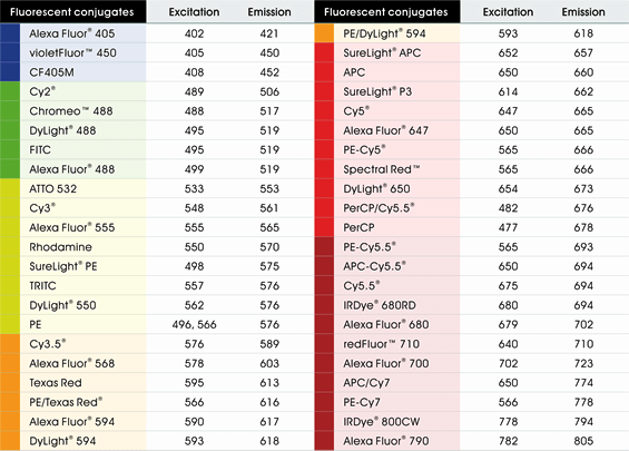 應有盡有的螢光標定選擇