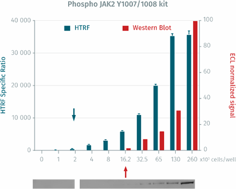 HTRF 檢測技術比 Western Blot 更加靈敏