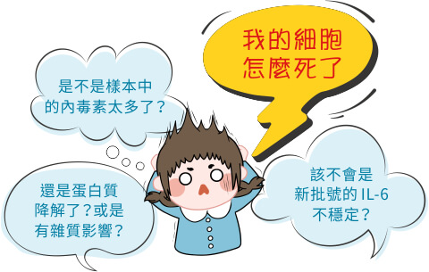 我的細胞怎麼死了？！是不是樣本中的內毒素太多了？還是蛋白質降解了？ 或是有雜質影響？該不會是和新批號的 IL-6 不穩定有關？