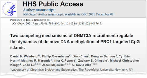 Weinberg DN, et al. Two competing mechanisms of DNMT3A recruitment regulate the dynamics of de novo DNA methylation at PRC1-targeted CpG islands. Nat Genet. 2021 Jun;53(6):794-800. PMID: 33986537
