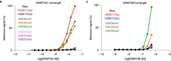 AlphaLISA Nucleosome Binding Assays 實驗結果