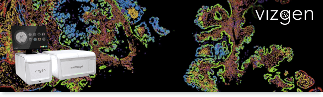 【空間基因體學線上講座】Exploring the Spatial Dimension with MERSCOPE™