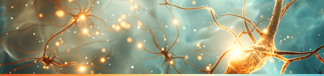 Abcam Neural Markers 檢測抗體