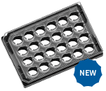 ibidi µ-Plate 24 Well for Membrane Inserts