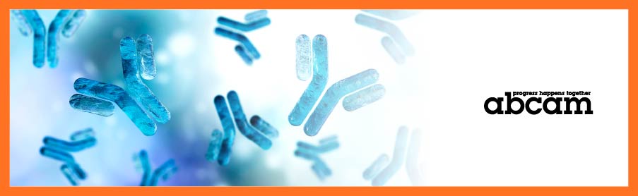 一次成功、次次可靠的抗體，是確保實驗結果可信與可重現的關鍵 ｜ Abcam 抗體表現再獲國際肯定！