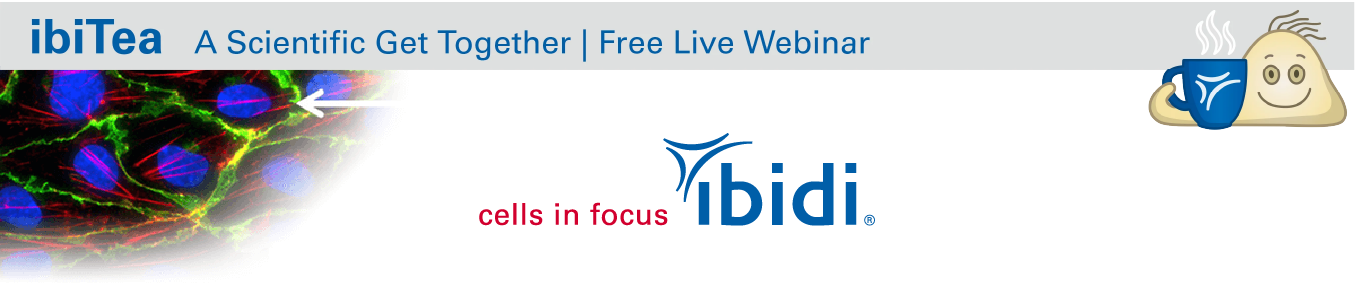 3D Model of Adhesive Peptidyl Liposomes for Harnessing Monocyte Homing to Tumor Tissues