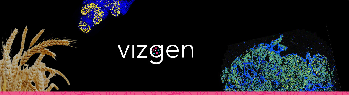 Beyond Human and Mouse：將空間轉錄體延伸至作物與多元研究物種 | Vizgen