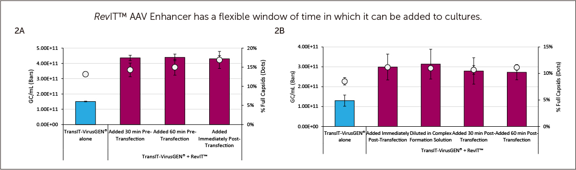 RevIT™ AAV Enhancer has a ﬂexible window of time in which it can be added to cultures.