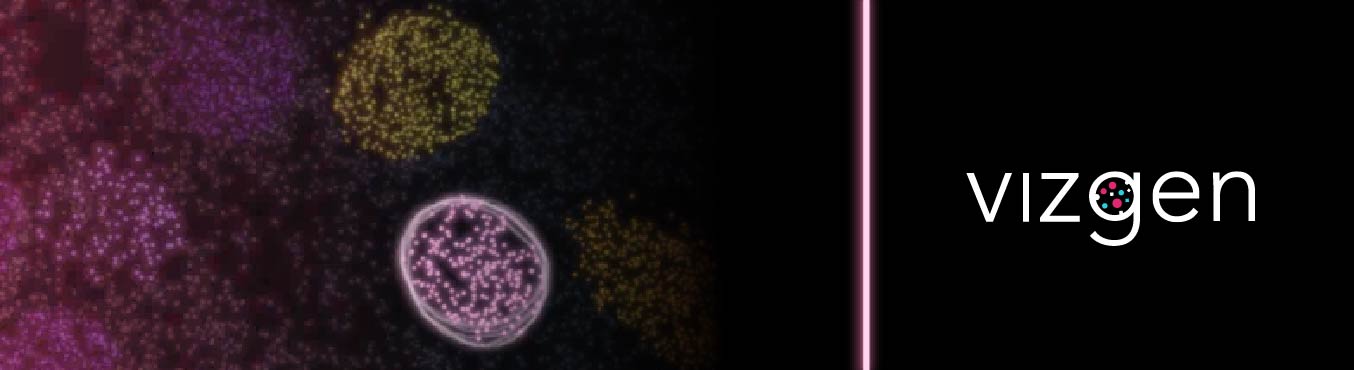 【Early Access 募集中】3D Thick Tissue Spatial Multi-omics | Vizgen