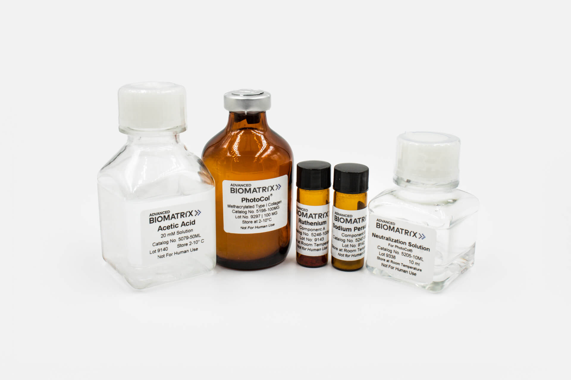Photocrosslinkable Hydrogel