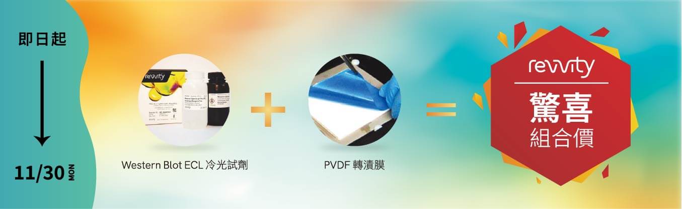 Western Blot 最佳夥伴 【ECL + PVDF 優惠套組】超值登場｜Revvity