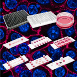 3D 細胞培養盤 /皿 /玻片 (3D Cell Culture Microplate/Dish/Slide)