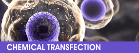 Chemical transfection reagents | Mirus Bio 台灣獨家代理伯森生技