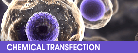 Chemical transfection reagents - Mirus Bio 台灣獨家代理伯森生技