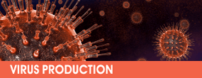 Virus production and transduction products | Mirus Bio 台灣獨家代理伯森生技