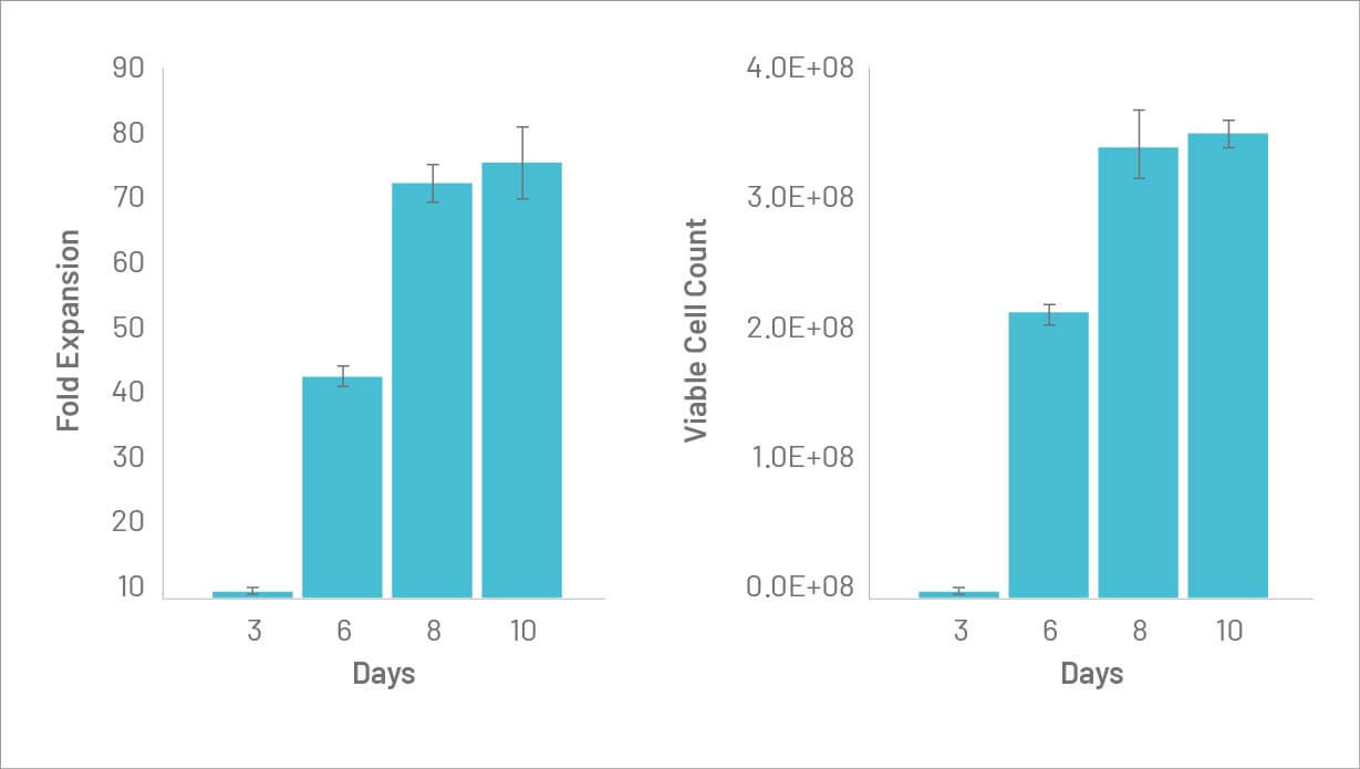 Robust T Cell Expansion in G-Rex6M.