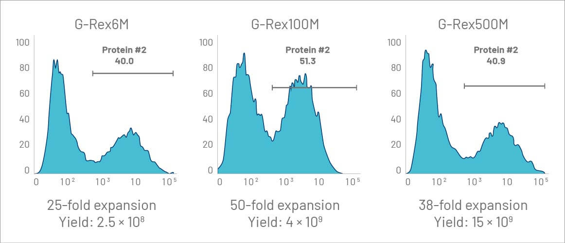 Scalable Gene-edited T Cell Expansion in G-Rex Bioreactors.